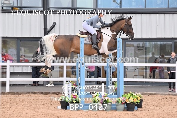 BPP_0427 - CLASS 27 SUN 6 Year Old Non Qualifier