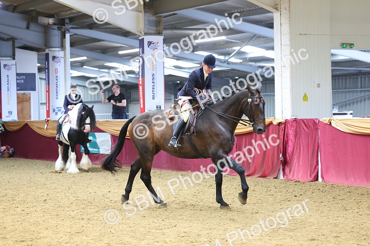 SBM_24221 - Class 905 - Supreme Final - Ridden Veteran