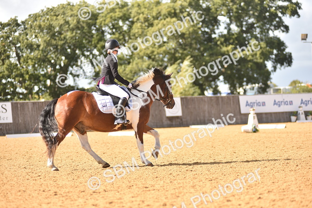 SBM_24261 - D4 - Small Tour Championship Intro 4