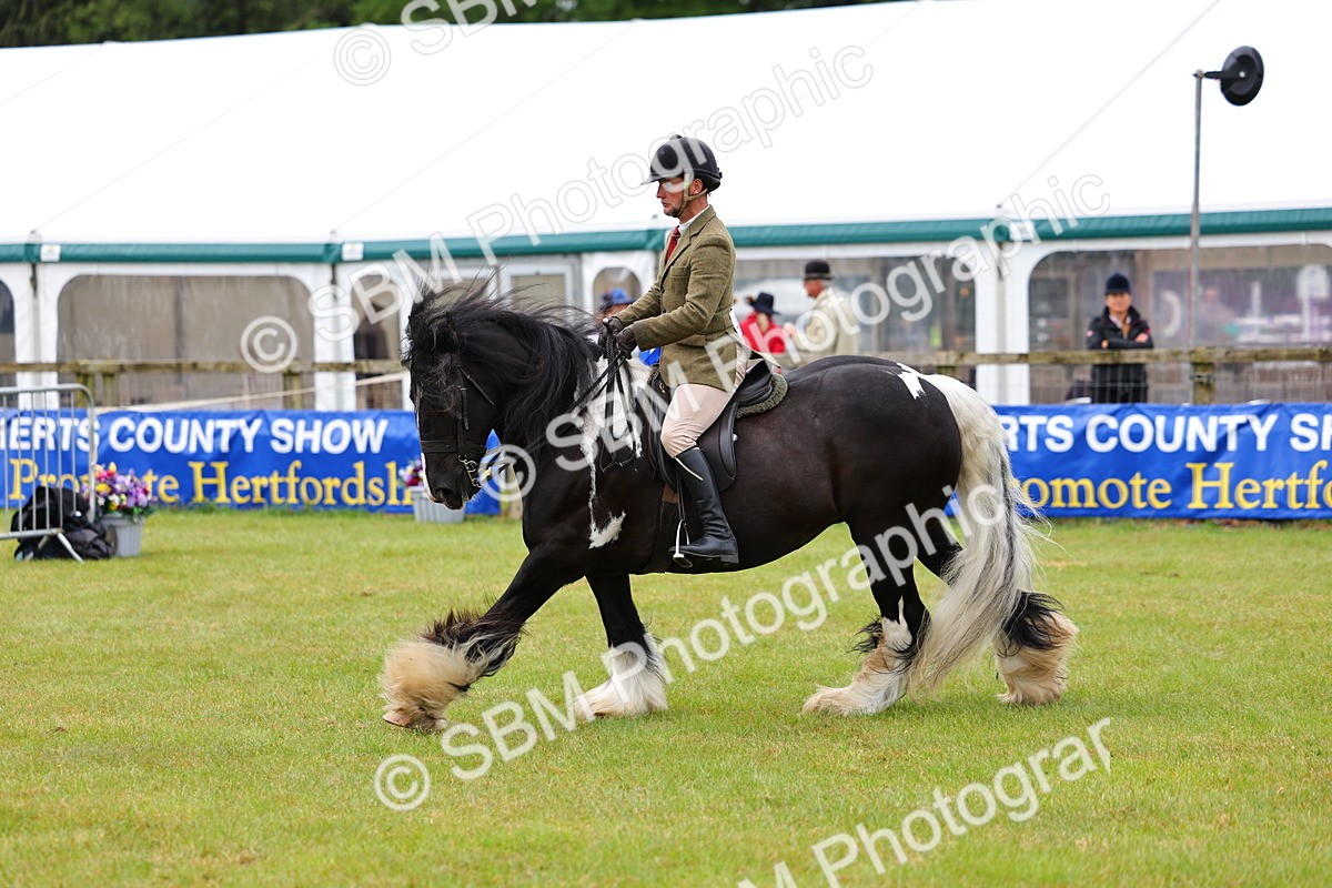 SBM_02652 - Class 9-11 Side Saddle including LIHS Rising Star Ladies Show Horse