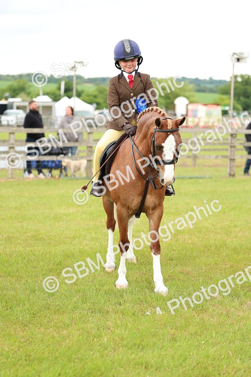 SBM_10406 - Class 44-45 - LIHS BSPS Open Nursery and Cradle Stakes