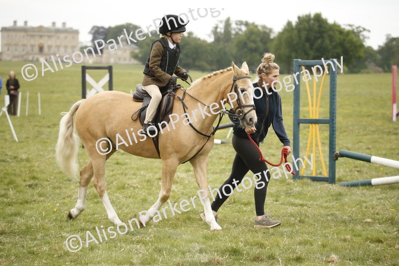 20250517-0196 - Class 1 - 30cm On Lead Rein