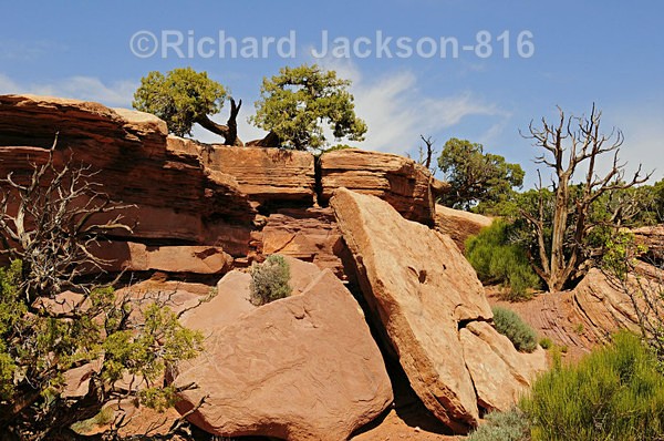 Image #2 - Canyonlands-2011