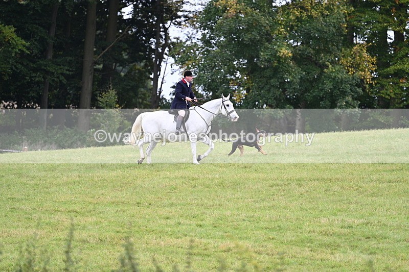 WJ7_4019 - Camera 1 Line 2