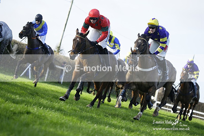 PtP 300122 252 - South Dorset Hunt - Point-to-Point Races 30/01/2022