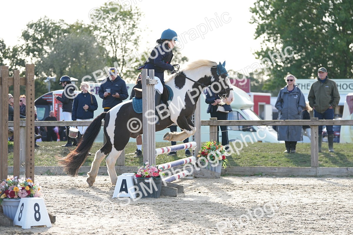 SBM_51042 - J8 - Junior Pony 65cm Championship