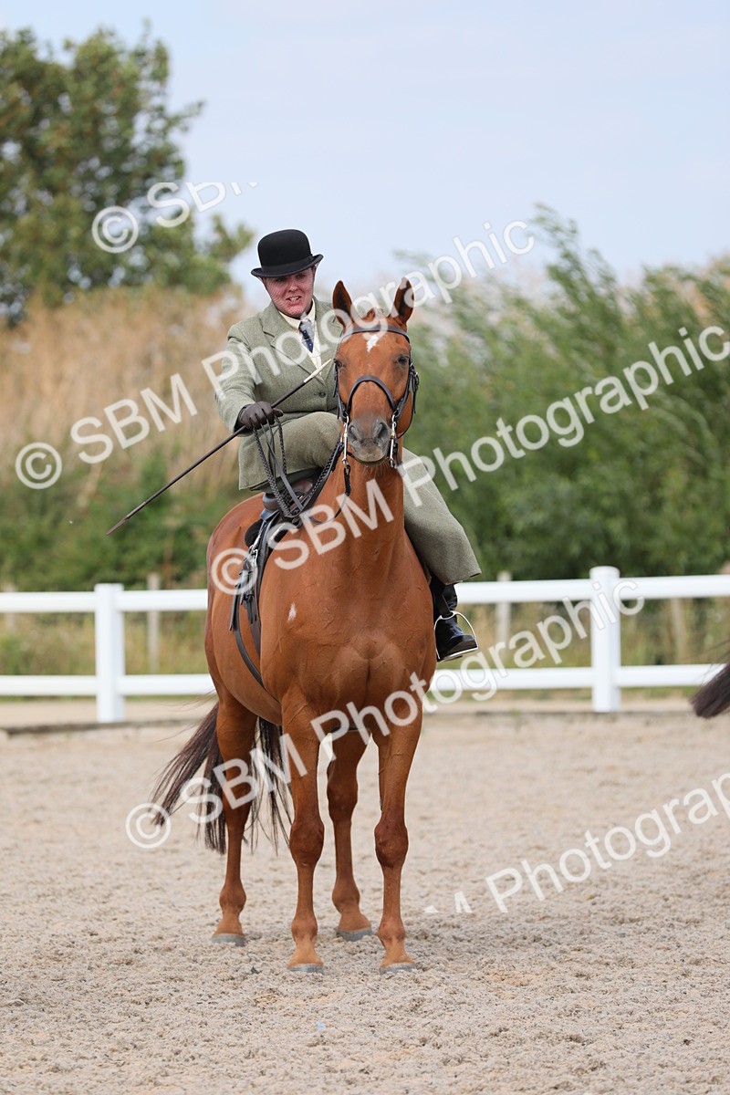 SBM_14592 - Class 211 Best Side Saddle Horse/Pony