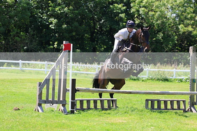 3E7A7051 - Class 30: Novice Working Hunter
