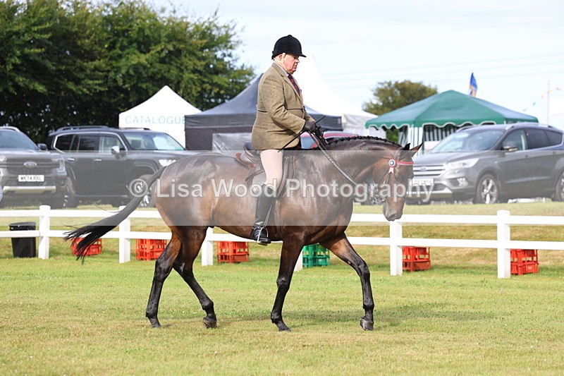 3E7A7979 - Class 2: Rising Star Large Hack/Riding Horse