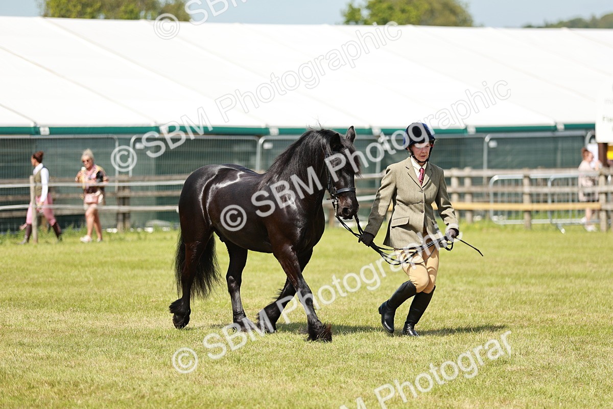 SBM_07182 - Class 26-30 - Mountain and Moorland Ridden