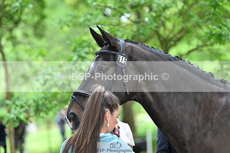 250521A-143926-00150 - A-015-Amelia.England-ELUNA