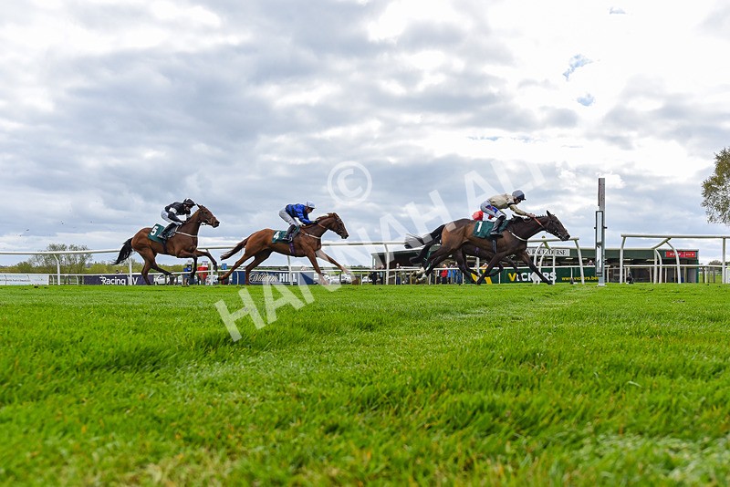 240424-Race 2-Restless Prince-3464 - Race 2