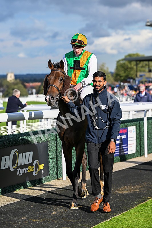 170925-Race 5-Hashtagnotions-5503 - Race 5