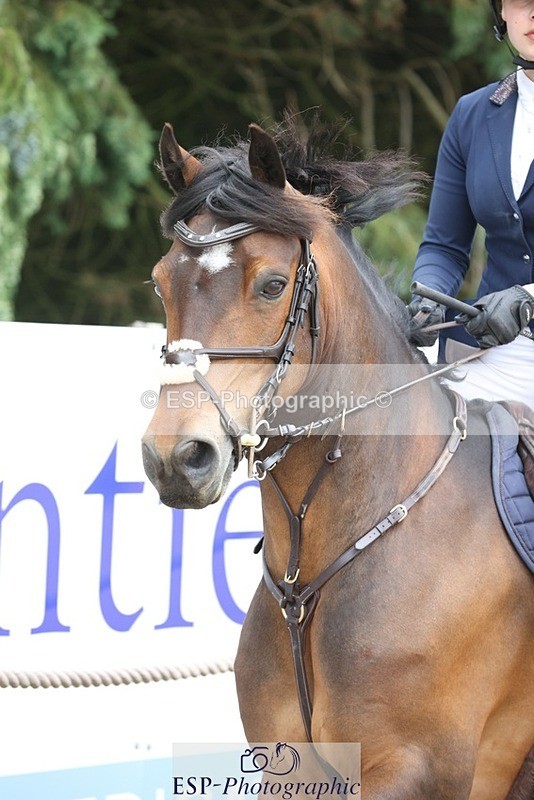 230618-085618-09413 - Cls 19 Pony Intro 1m