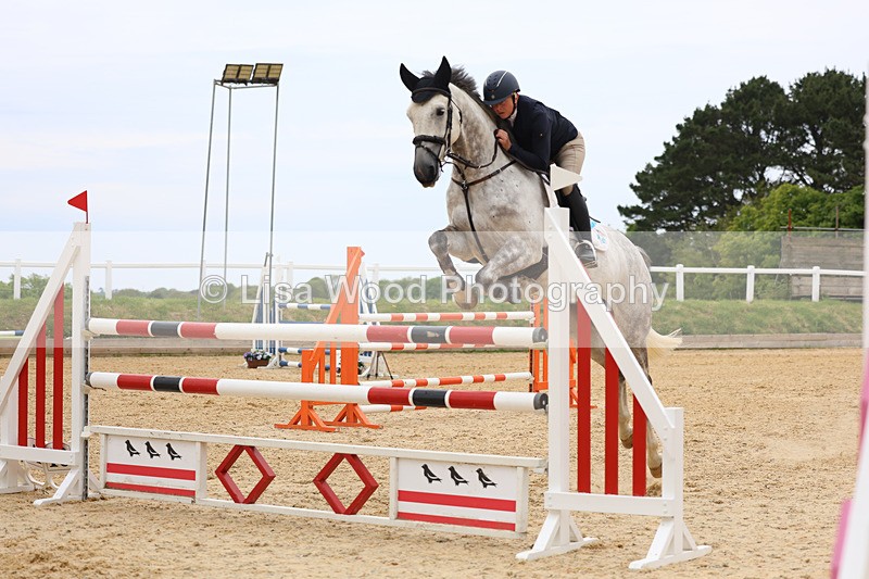 3E7A9676 - Class 9: Senior Foxhunter/1.20 open