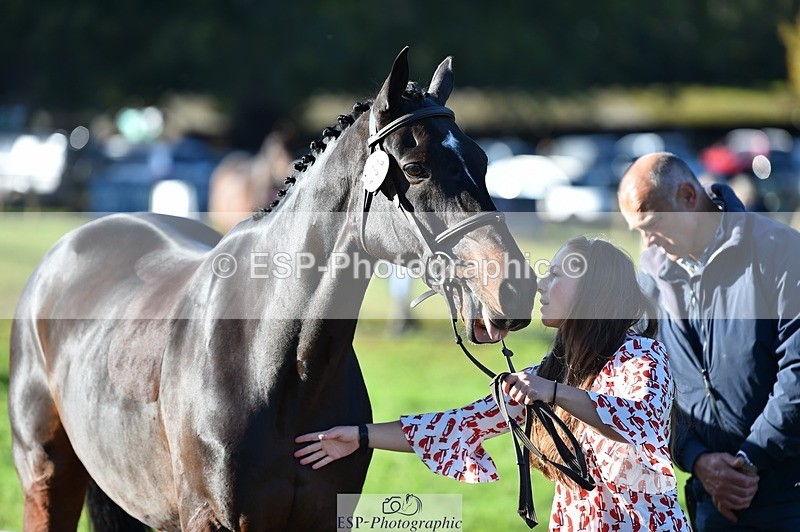 231022-101824-22395 - 430-HUNTSMAN.COM-Rachael.Watson-TrotUp+SJ