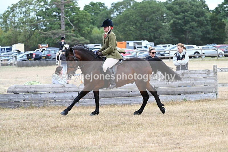 WJ7_0631 - Class 6 Ridden Mountain and Moorland
