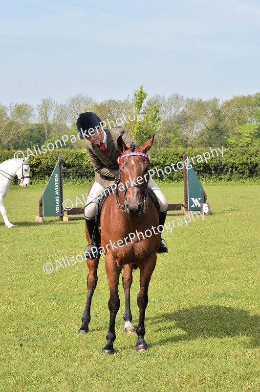 20260426-0941 - Class 18 - Novice Showing