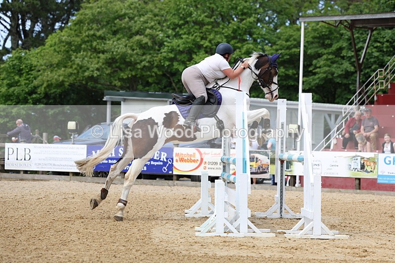 3E7A7072 - Class 7: Senior Newcomers/1.10m open