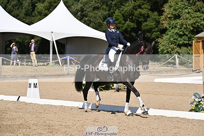 250810A-152908-08056 - Intermediate I GOLD Presentations