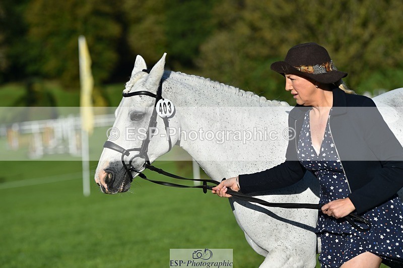 231022-095934-22169 - 403-KILLEA.LARK.GIRL-Joanna.Jones-TrotUp+SJ