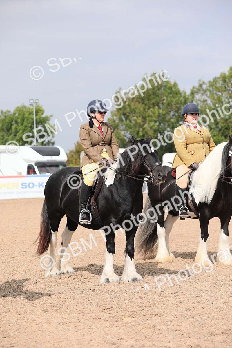 SBM_12834 - Class 307 Ridden Coloured Pony