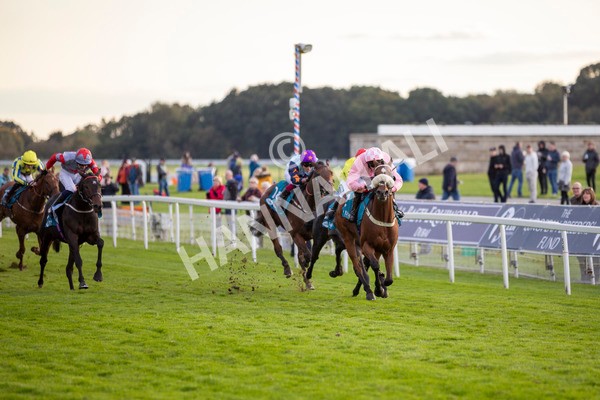 111024-Race 7-On The River-7066 - Race 7 4.55pm Ire Incentive, It Pays To Buy Irish Apprentice Handicap