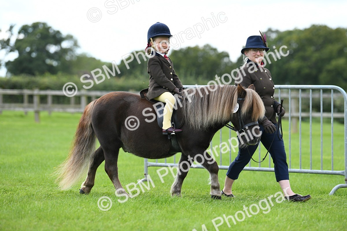 SBM_42401 - S20 - Lead Rein Mountain & Moorland Pony