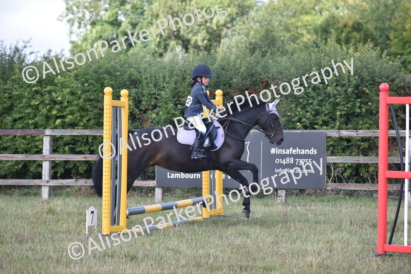 20250831-0435 - Class 7 - Absolute Novice 35cm