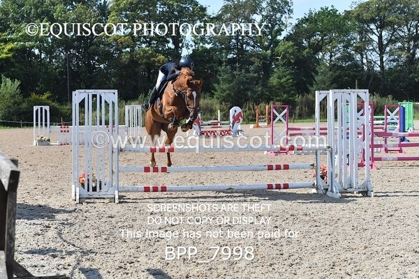 BPP_7998 - CLASS 4 Senior Discovery/ 1m Open
