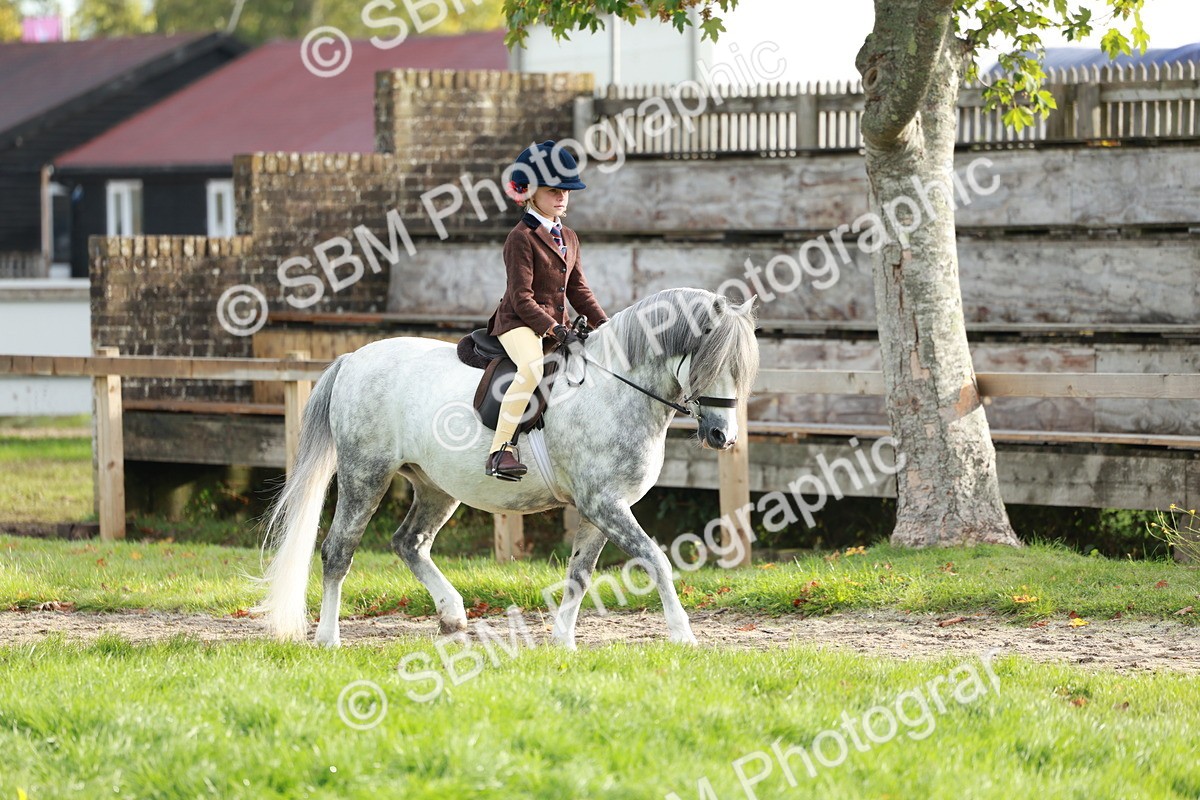 SBM_56381 - S39 - Starters In Hand Showing
