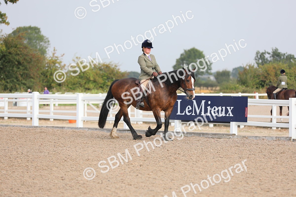 SBM_10857 - Class 304 Ridden Part Bred Horse/Pony