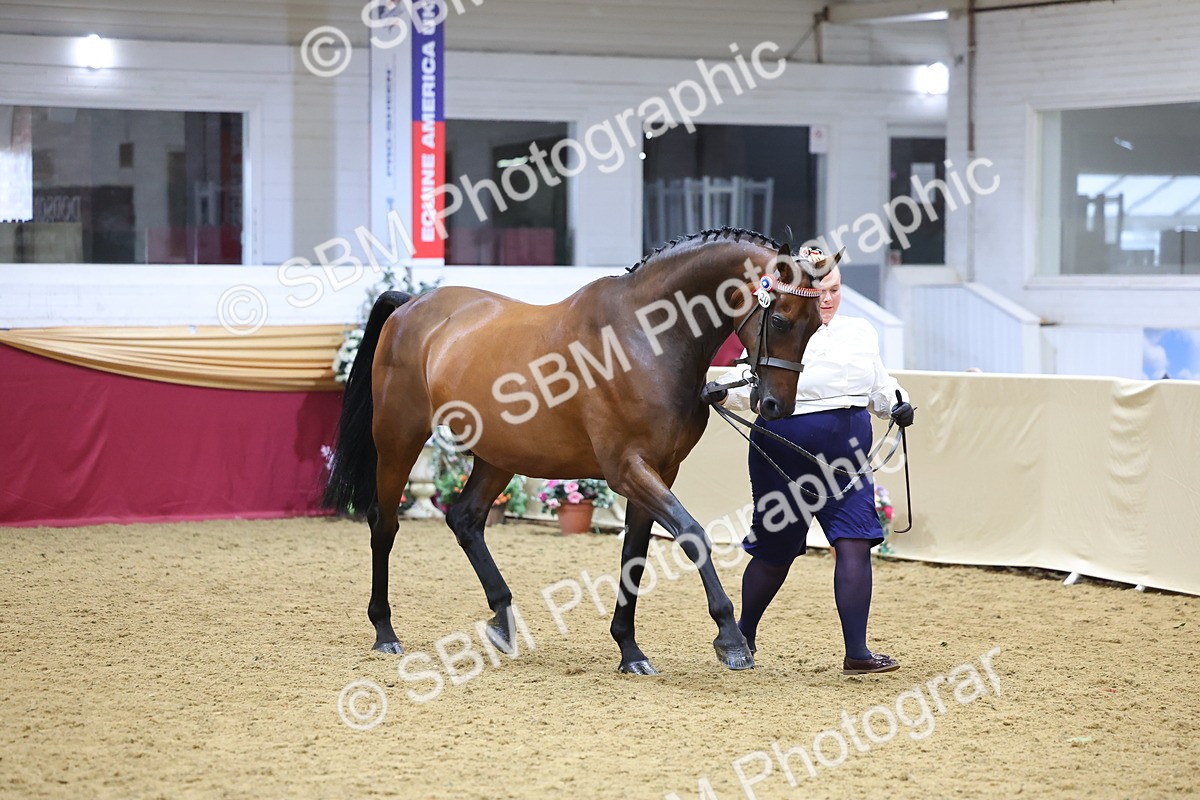 SBM_21057 - Class 902 - Supreme Final IH Veteran