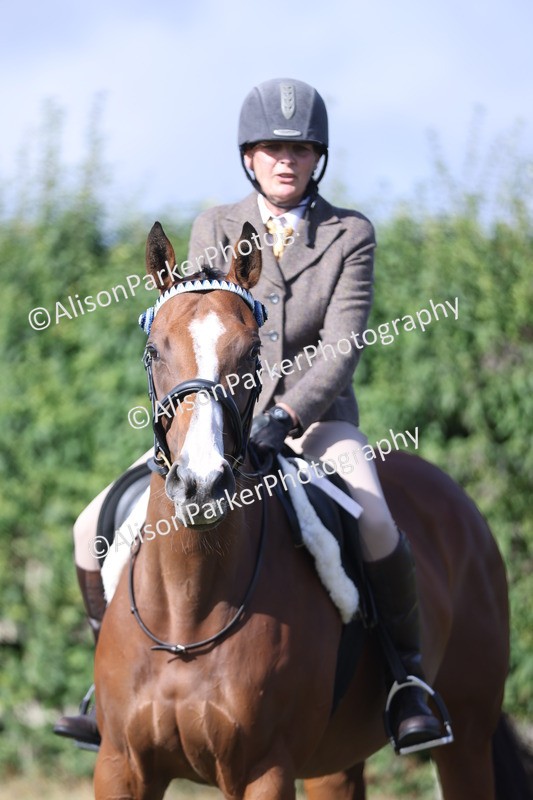 20250831-0856 - Class 14 - Ex Racehorse