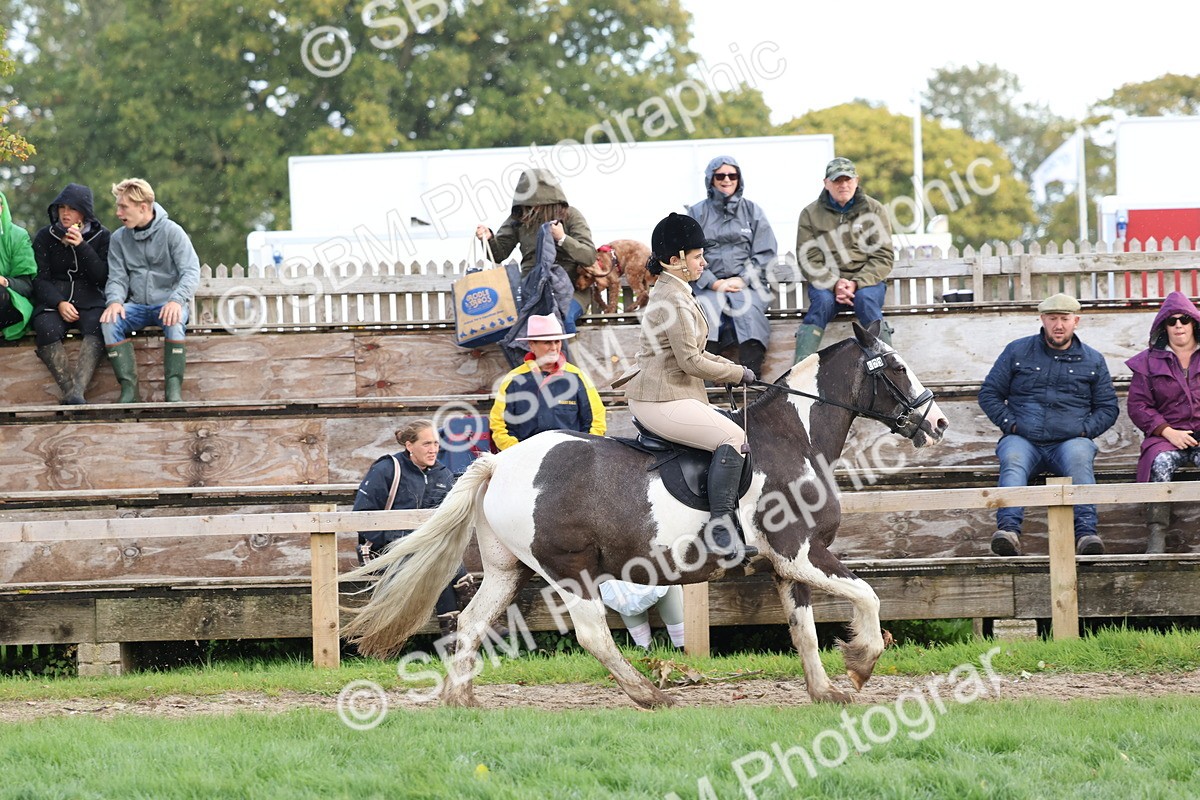 SBM_47680 - S28 - Veteran Ridden