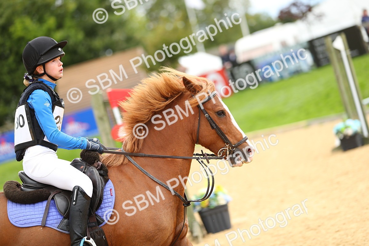 SBM_09495 - E8 Eventers Challenge 80cm Championship