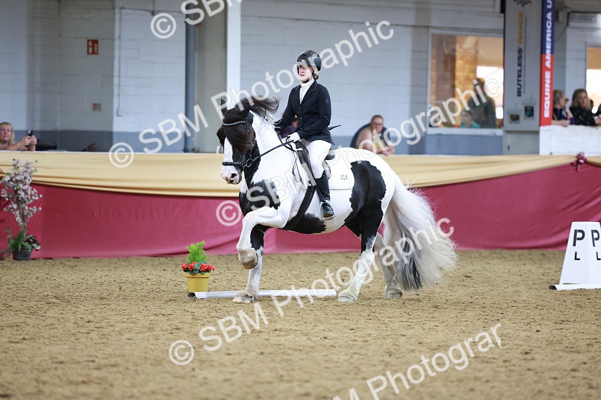 SBM_09962 - Class 61 - Dressage to Music