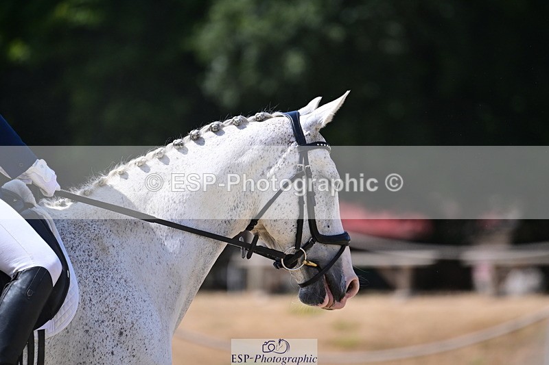 260802A-122553-06550 - Novice Bronze break - end