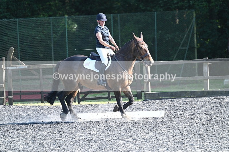 WJ7_8559 - Time 17:15 to 17:39