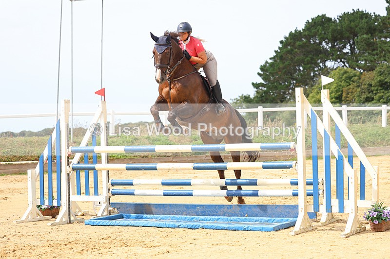3E7A4293 - Class 8: Senior Foxhunter/1.20 open
