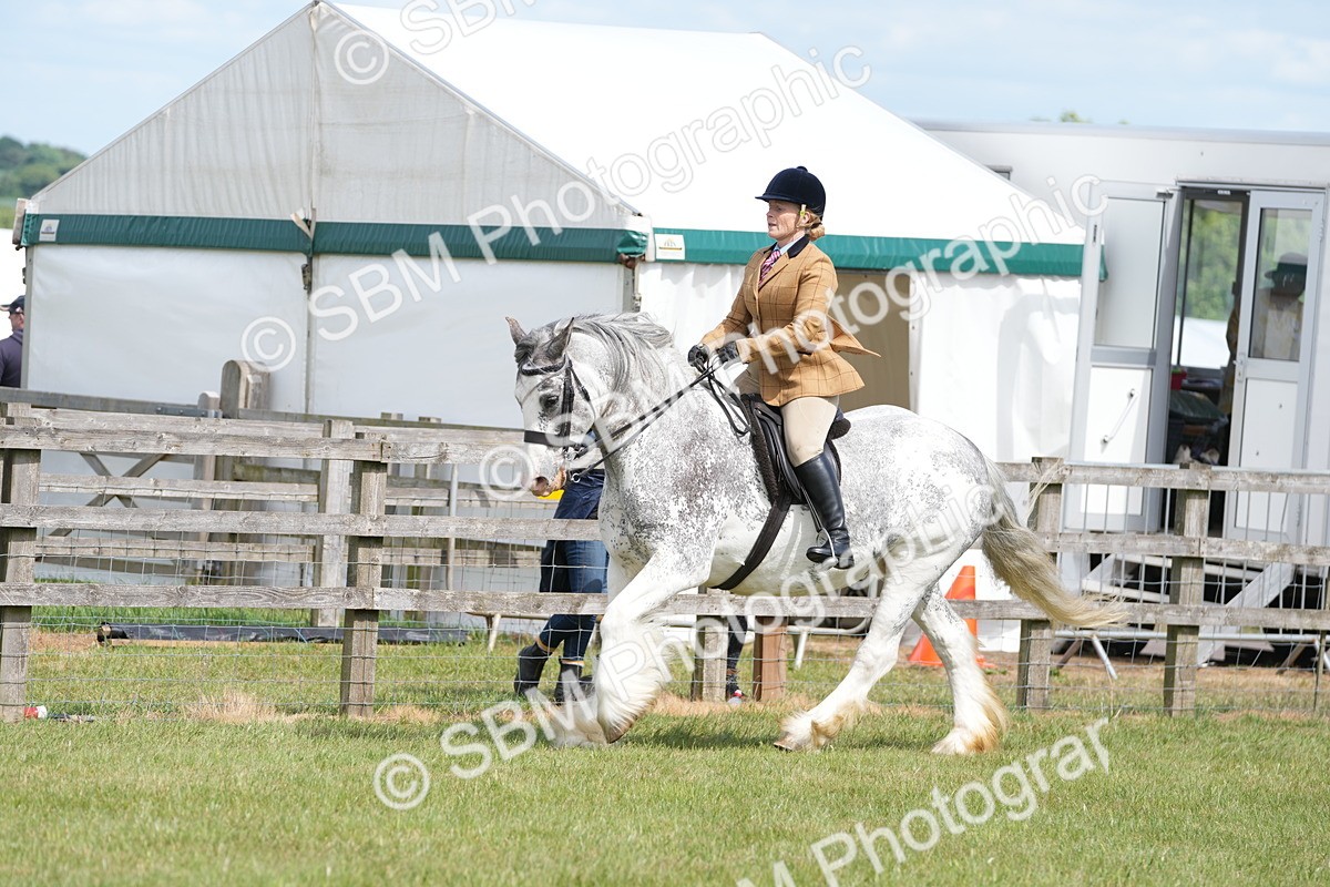 SBM_17149 - Class 107-108 - LIHS BSPS Performance Coloured Horse Pony