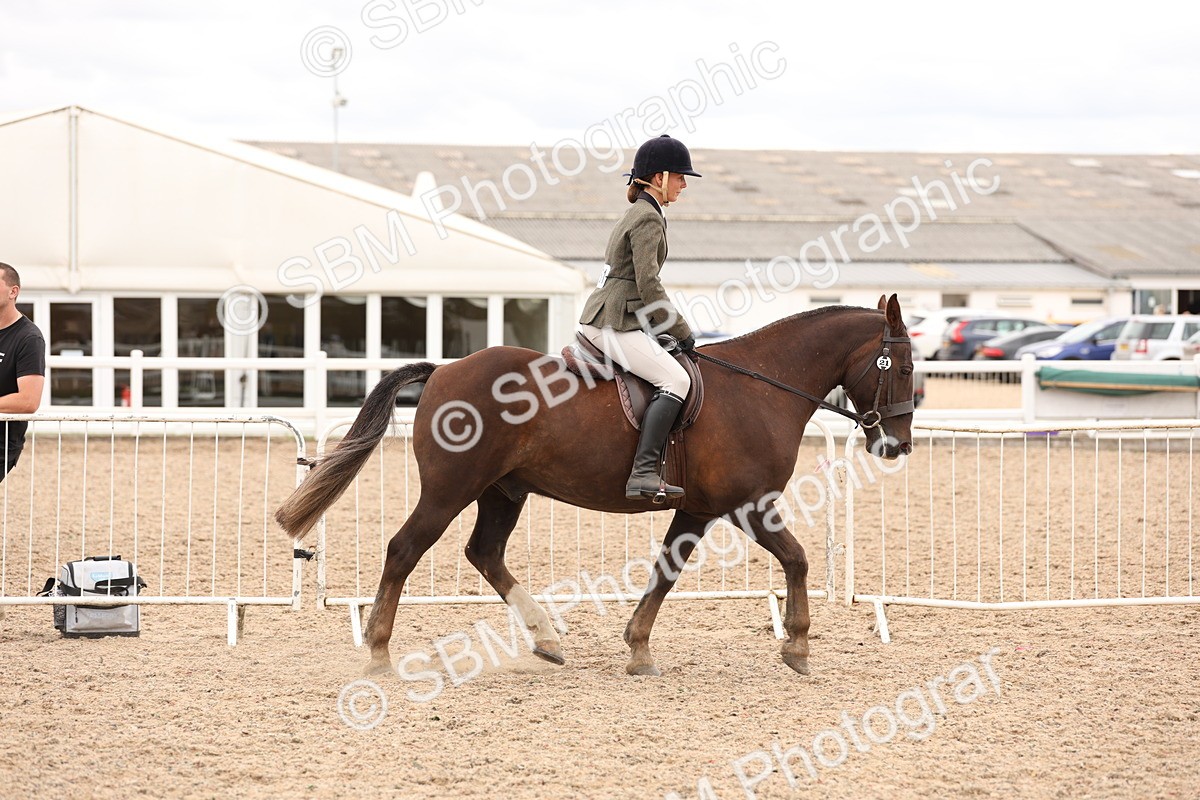 SBM_19499 - Class 215 - Ridden Show cob