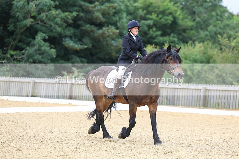 3E7A4697 - Class 1: Intro 4 2024 section A