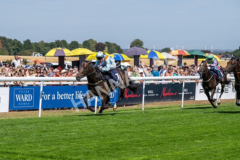 120826-Race 1-Lexington Boom-5088 - Race 1 14.15pm Macan At Porsche Centre Hull EBF Restricted Novice Stakes