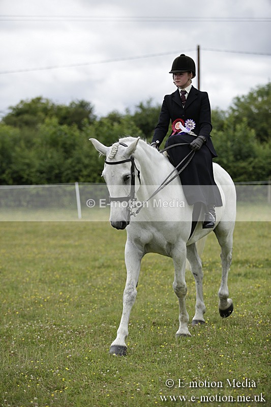 BVR160717-2016 - Side Saddle Classes 16/07/17