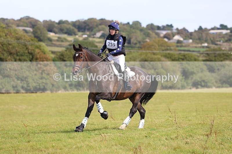 3E7A6899 - Class 2: Trekenning Open: Yellow Boat