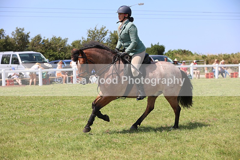 JPP_3148 - Class 22: Working Hunter 70cm
