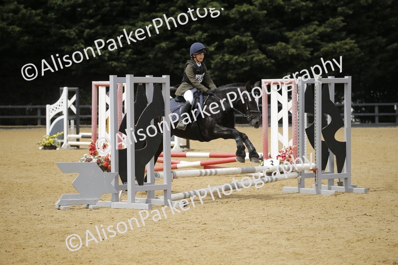 20250622-4696 - 50cm