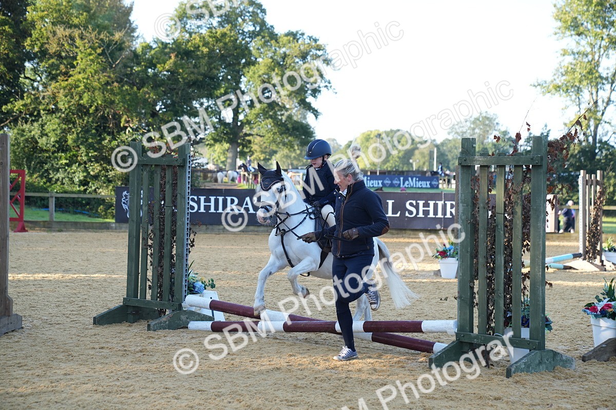 SBM_58973 - J63 - Minis Clear Round 30cm 40cm