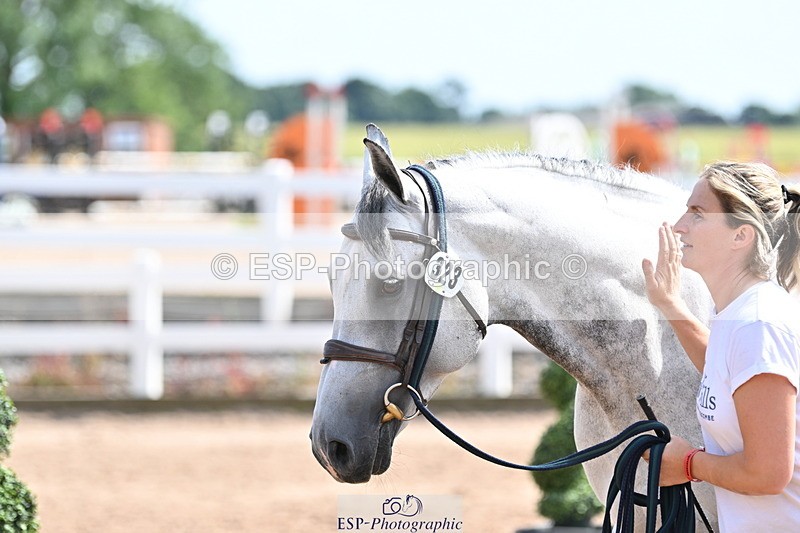 240717A-153130-02867 - Trot Up 3pm to 4pm